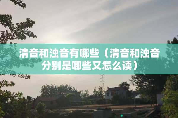 清音和浊音有哪些（清音和浊音分别是哪些又怎么读）