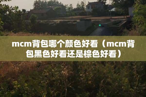 mcm背包哪个颜色好看（mcm背包黑色好看还是棕色好看）
