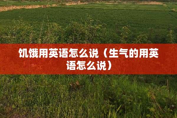 饥饿用英语怎么说（生气的用英语怎么说）
