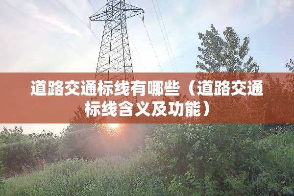 道路交通标线有哪些（道路交通标线含义及功能）