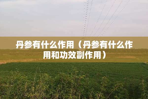 丹参有什么作用（丹参有什么作用和功效副作用）