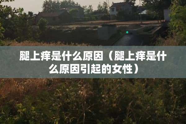 腿上痒是什么原因（腿上痒是什么原因引起的女性）