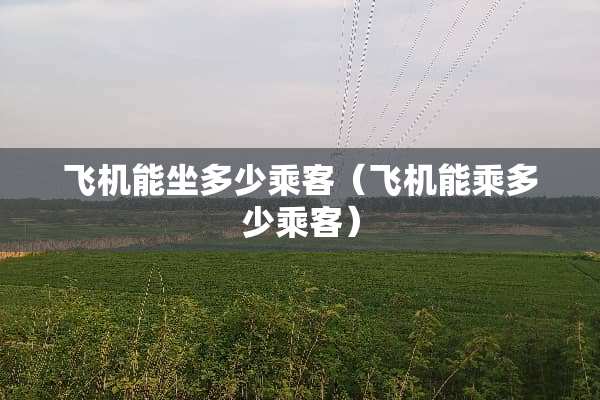 飞机能坐多少乘客（飞机能乘多少乘客）