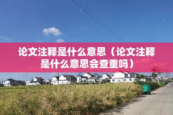 论文注释是什么意思（论文注释是什么意思会查重吗）