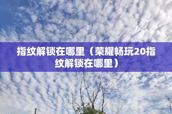 指纹解锁在哪里（荣耀畅玩20指纹解锁在哪里）