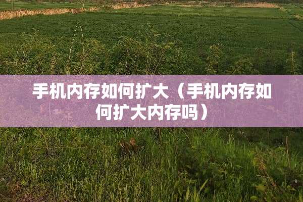 手机内存如何扩大（手机内存如何扩大内存吗）