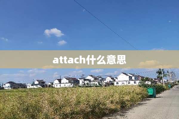 attach什么意思