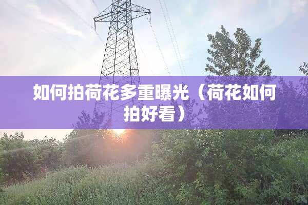 如何拍荷花多重曝光（荷花如何拍好看）