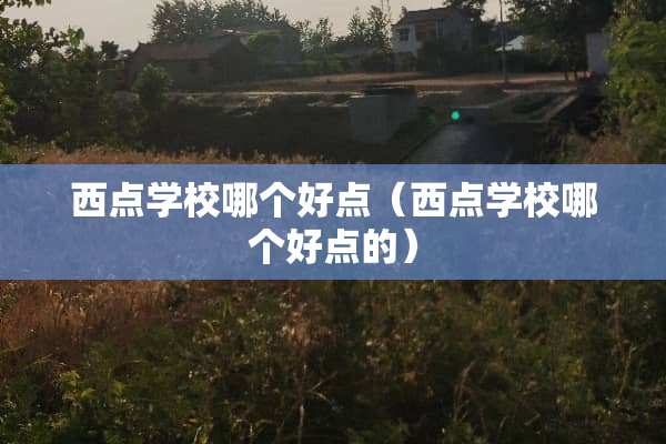 西点学校哪个好点（西点学校哪个好点的）