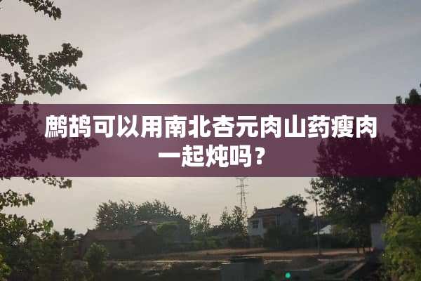 鹧鸪可以用南北杏元肉山药瘦肉一起炖吗？