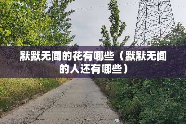 默默无闻的花有哪些（默默无闻的人还有哪些）