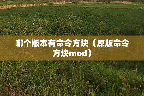 哪个版本有命令方块（原版命令方块mod）