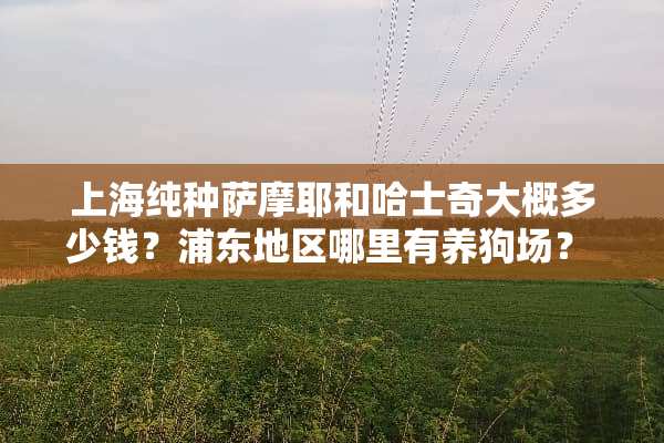 上海纯种萨摩耶和哈士奇大概多少钱？浦东地区哪里有养狗场？ 知道的说下，谢谢？