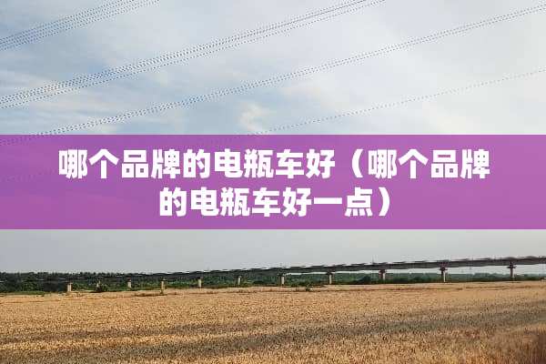哪个品牌的电瓶车好（哪个品牌的电瓶车好一点）