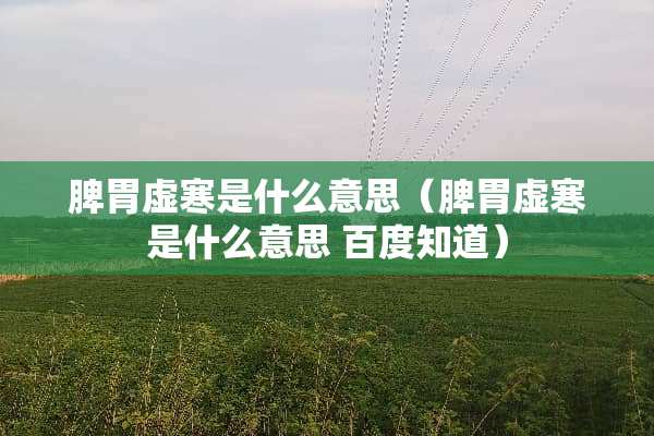 脾胃虚寒是什么意思（脾胃虚寒是什么意思 百度知道）