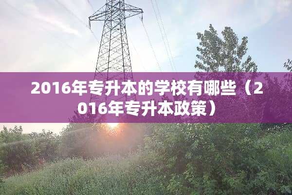 2016年专升本的学校有哪些（2016年专升本政策）