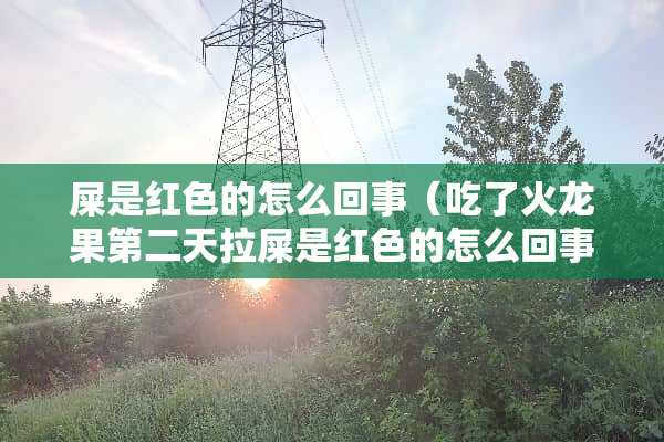 屎是红色的怎么回事（吃了火龙果第二天拉屎是红色的怎么回事）