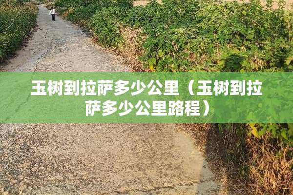 玉树到拉萨多少公里（玉树到拉萨多少公里路程）