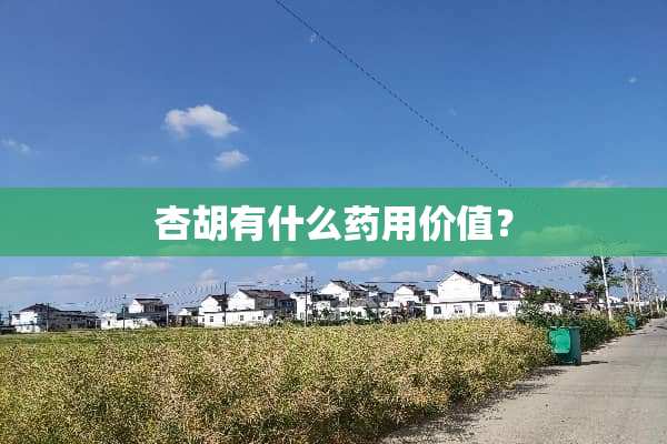 杏胡有什么药用价值？