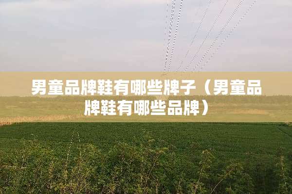 男童品牌鞋有哪些牌子（男童品牌鞋有哪些品牌）