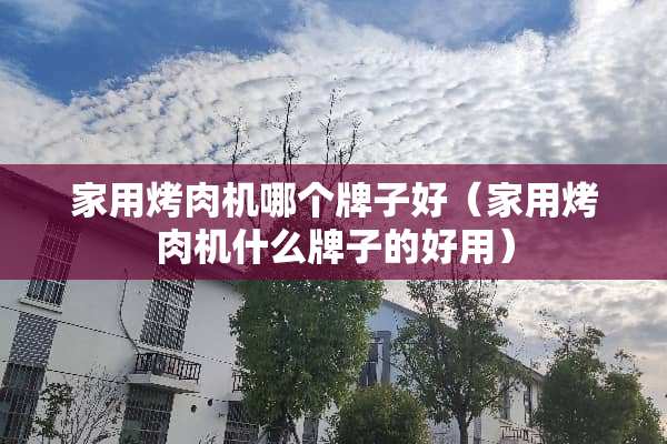 家用烤肉机哪个牌子好（家用烤肉机什么牌子的好用）