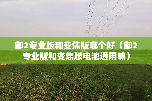 御2专业版和变焦版哪个好（御2专业版和变焦版电池通用嘛）