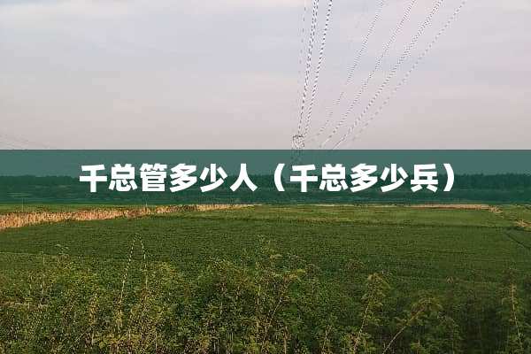 千总管多少人（千总多少兵）