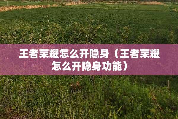 王者荣耀怎么开隐身（王者荣耀怎么开隐身功能）