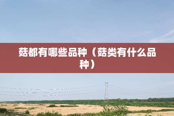 菇都有哪些品种（菇类有什么品种）