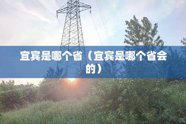 宜宾是哪个省（宜宾是哪个省会的）