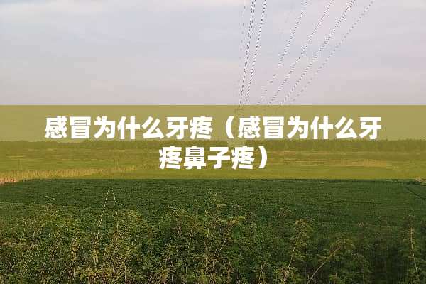 感冒为什么牙疼（感冒为什么牙疼鼻子疼）