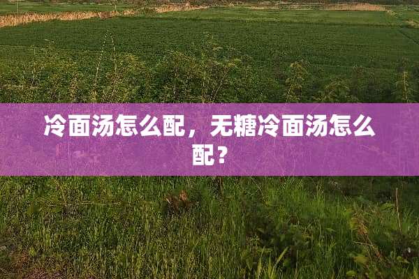 冷面汤怎么配，无糖冷面汤怎么配？