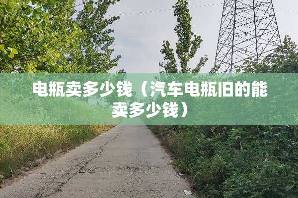电瓶卖多少钱（汽车电瓶旧的能卖多少钱）