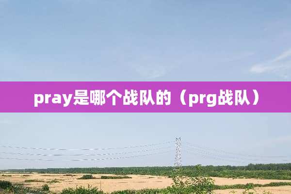 pray是哪个战队的（prg战队）