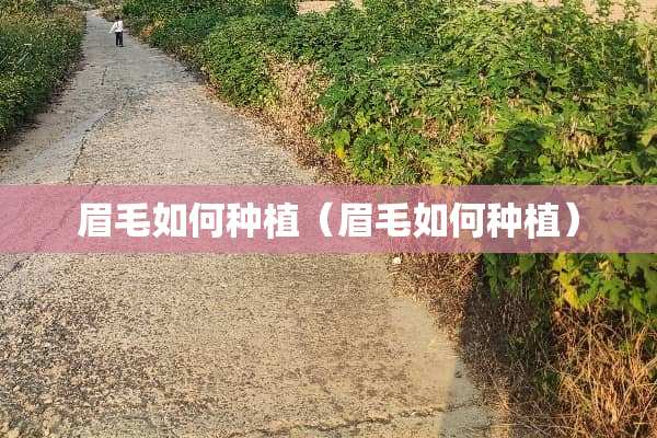 眉毛如何种植（眉毛如何种植）