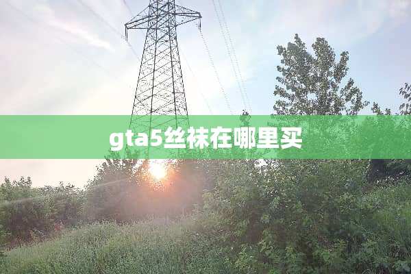 gta5丝袜在哪里买