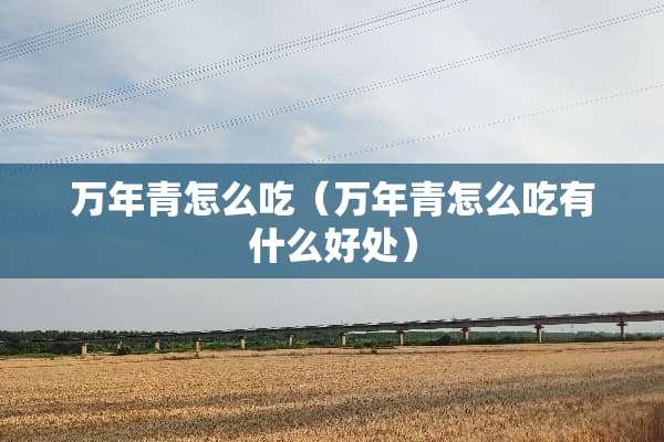 万年青怎么吃（万年青怎么吃有什么好处）