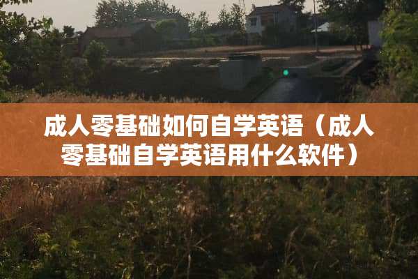 **零基础如何自学英语（**零基础自学英语用什么软件）