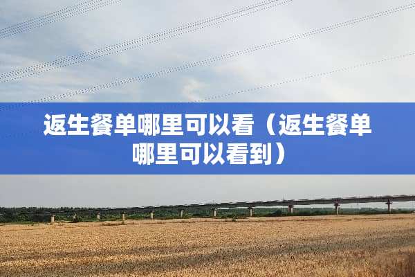 返生餐单哪里可以看（返生餐单哪里可以看到）