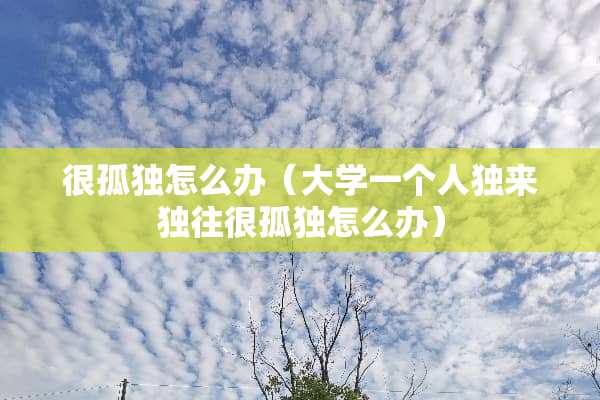 很孤独怎么办（大学一个人独来独往很孤独怎么办）