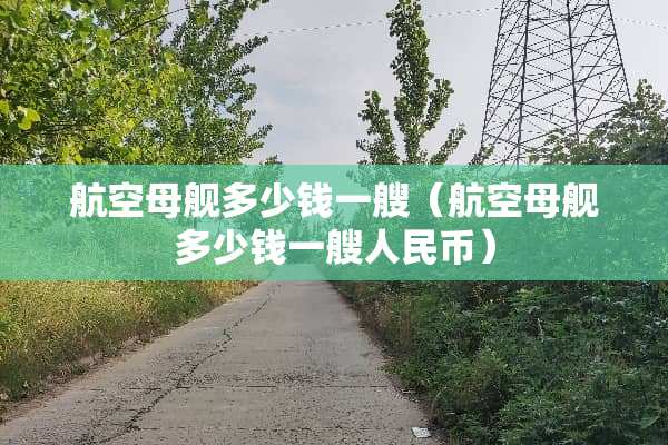 航空母舰多少钱一艘（航空母舰多少钱一艘人民币）