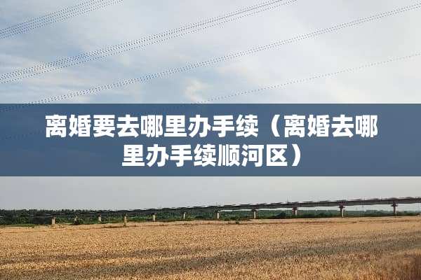 **要去哪里办手续（**去哪里办手续顺河区）