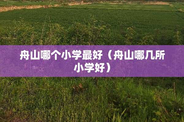 舟山哪个小学最好（舟山哪几所小学好）