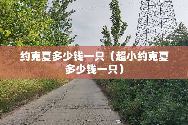 约克夏多少钱一只（超小约克夏多少钱一只）