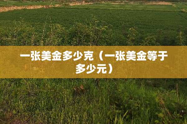 一张美金多少克（一张美金等于多少元）
