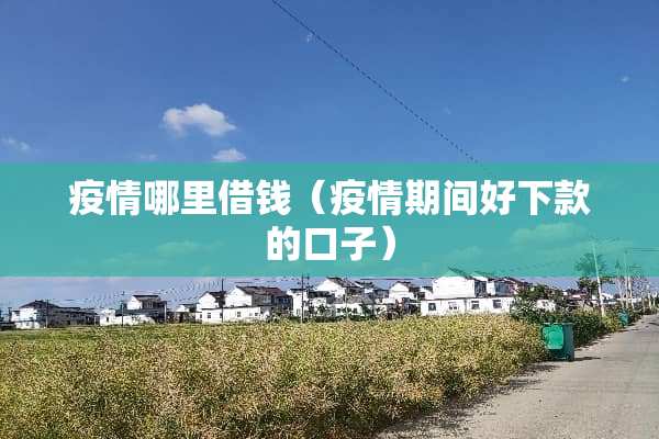 疫情哪里借钱（疫情期间好下款的口子）