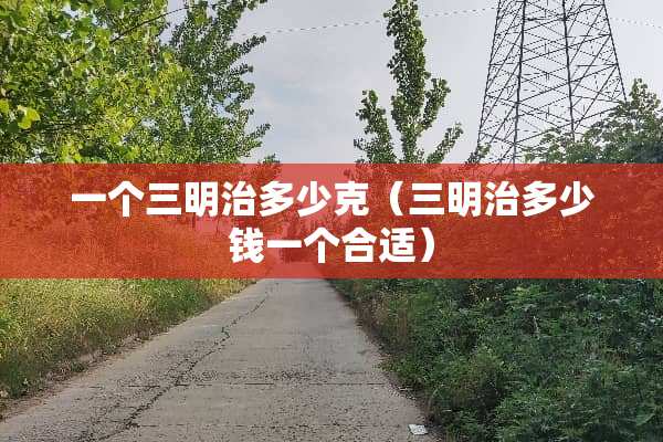 一个三明治多少克（三明治多少钱一个合适）