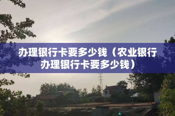 办理***要多少钱（农业银行办理***要多少钱）