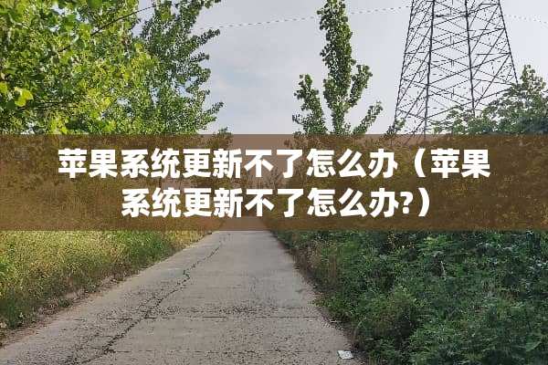 苹果系统更新不了怎么办（苹果系统更新不了怎么办?）
