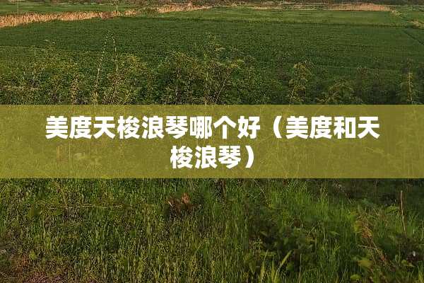 美度天梭浪琴哪个好（美度和天梭浪琴）